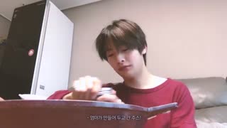 ویلاگ(Vlog)آی . ان (I.N)عضو استری کیدز(Stray kids)با زیرنویس انلاین