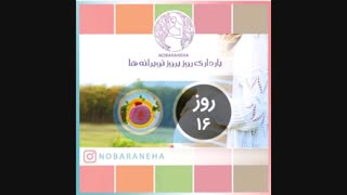 روز شانزدهم بارداری