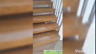 رنگ کاری چوب