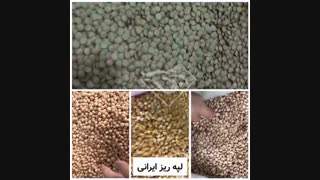 فروش عمده حبوبات در کرج