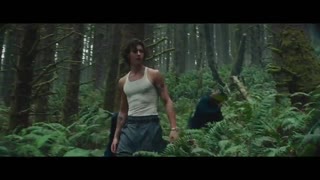 Shawn Mendes - Wonder