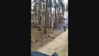 چرااقایون زودتر ازخانوما میمیرند؟