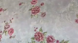 آلبوم کاغذ دیواری اورانیوم Uranium