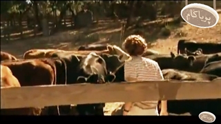 تمپل - سینمایی