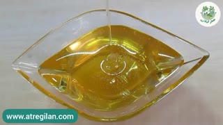 همه چیز درباره عسل جنگل | عسل جنگل چه تفاوتی با عسل جنگلی داره؟