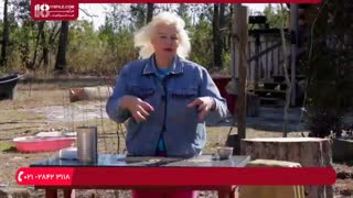 آشنایی با جیره و تغزیه غذایی مناسب مرغ محلی