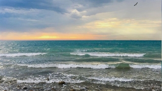 دریای مواج کنگان
