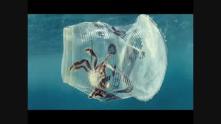 زباله ریختن در دریا ها و اقیانوس ها