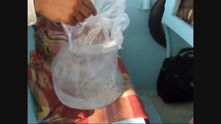 تکثیر مصنوعی ماهی حلوا سفید (Silver pomfret)
