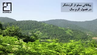 بررسی آب و هوای توتکابن گیلان