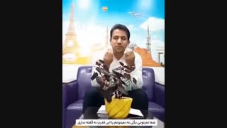چطور نه بگوییم
