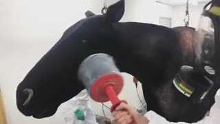 فروش دستگاه مخمل پاش02156573155