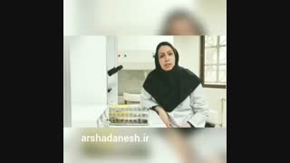 استخراج DNA
