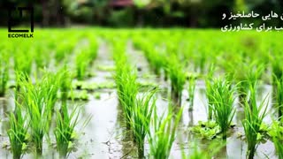 معرفی مناطق دیدنی لشت نشا