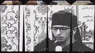 برادر امیر مهدی طریقی