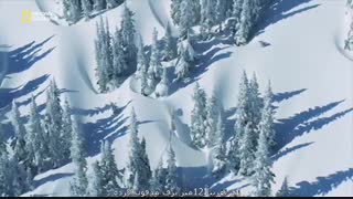 سیاره متخاصم 1