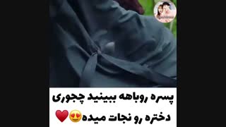 میکس روباهه نه دم