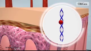 کار کرم ضد آفتاب چیست؟