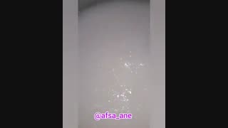 شله زرد