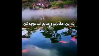 تو زندگی چی داری؟