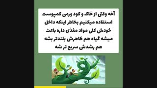 راز لوبیا سحرآمیز