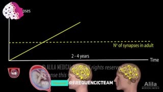 خلاقیت  تیم بین المللی و تحقیقاتی فرکانسیک