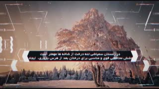 سمپاشی زمستانه saygol.ir
