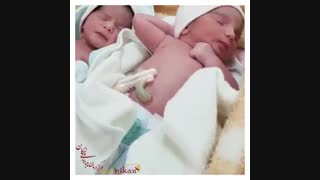 درصد موفقیت دوقلو زایی با ivf