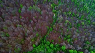 ایران من / قسمت اول / بهار البرز