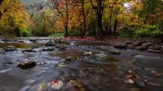 ایران من / قسمت سوم / پاییز جنگل های هیرکانی