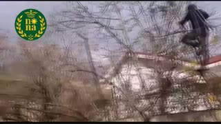 هرس درختان میوه تحت نظارت ترمه سبز طبیعت