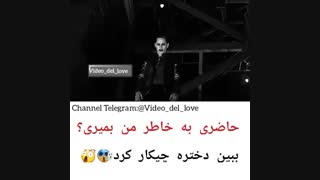 کلیپ زیبا از جوکر و هارلی