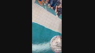 قاب موبایل بی تی اس دینامیت