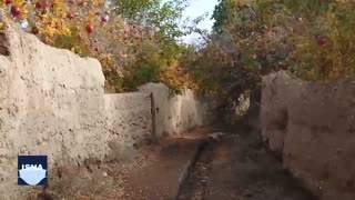 پاییز یزد در کوچه‌های کهن و باغ‌هایی که هنوز تخریب نشده‌اند