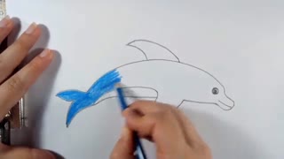 آموزش نقاشی دلفین کودکانه
