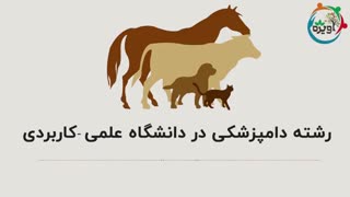 رشته دامپزشکی در دانشگاه علمی کاربردی