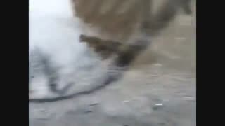 کارواش اپکس