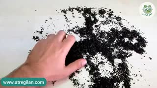 همه چیز درباره چای ممتاز | تفاوت چای ممتاز با چای شکسته؟