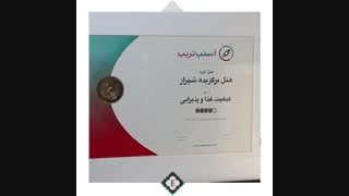 منخب برترین هتل های استان فارس ، هتل الیزه شیراز