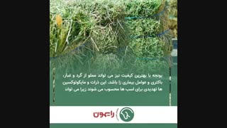 آموزش ساخت موشن گرافیک