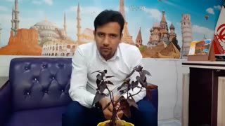 واقعا بورس چیه؟