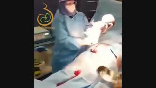 معجزه خلقت