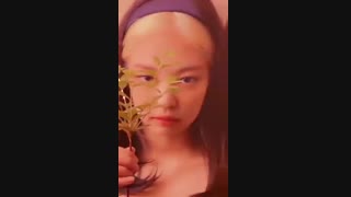 ♡ BLΛƆKPIИK ♡