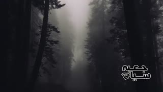 پنج ویدئوی مرموز و ترسناک ضبط شده در تاریخ ( قسمت دوم )