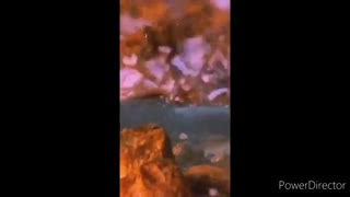 ادیت بی تی اس