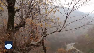 واپسین روزهای پاییز در بهارستانِ حیران