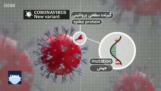 درباره گونه جدید ویروس کرونا چه می‌دانیم؟