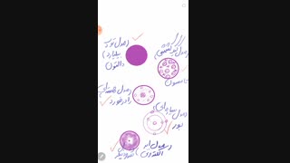 دلیل بازنگری مدل ها2