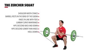 حرکت زرچر اسکوات The Zercher Squat