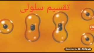 علوم پایه چهارم- درس۸/ بدن ما(۱)/  صفحات ۶۹ تا ۷۲